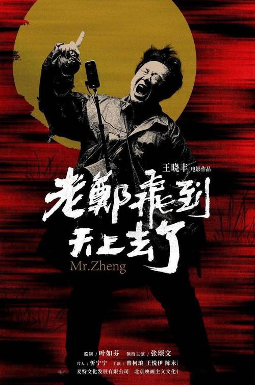 维戈大学理工科文凭证书